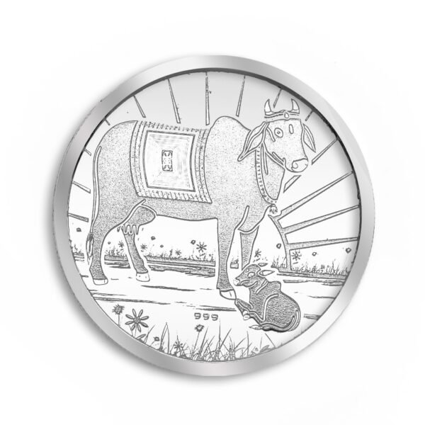 10g silver coin