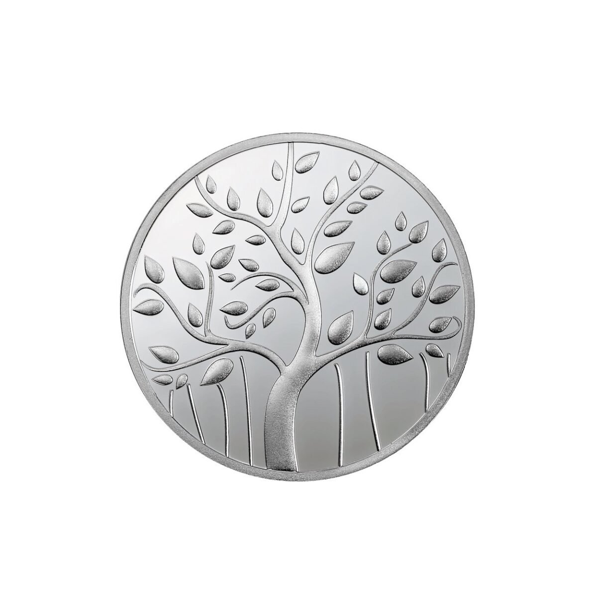 20 grams silver coin